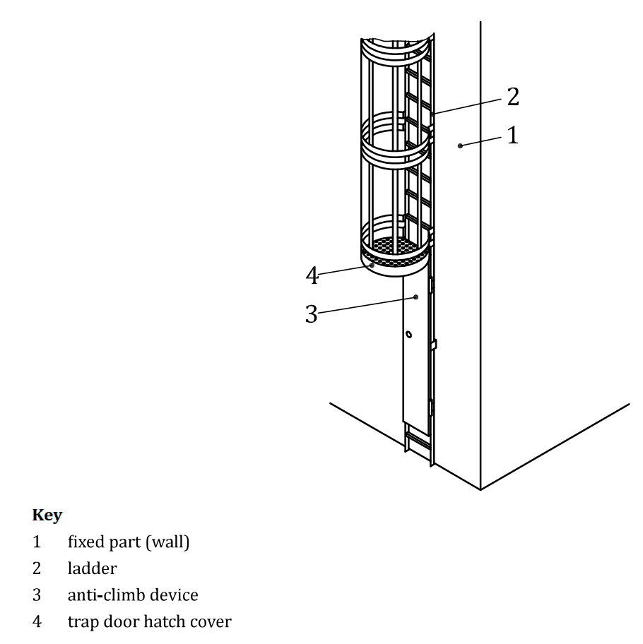 Ladders Choice of a type fall protection device